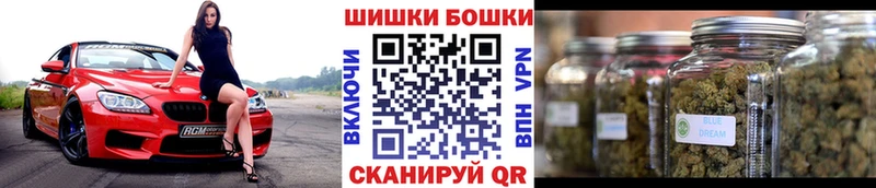 Какие есть наркотики Петровск-Забайкальский Бошки Шишки  Кокаин  ГАШ  mega как войти  Меф мяу мяу  APVP 