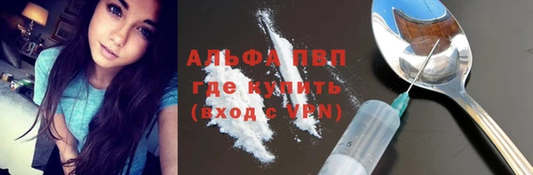 твердый Алексеевка