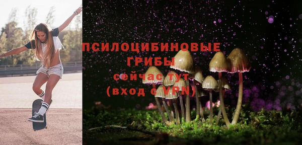 эйфоретик Алзамай
