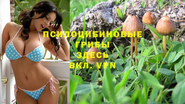 бутират Алексин