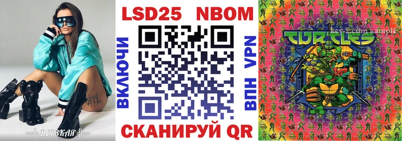 kraken вход  Петровск-Забайкальский  Марки NBOMe 1,5мг 