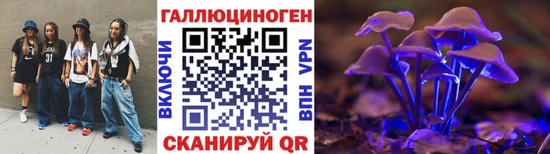 закладка  Петровск-Забайкальский  Галлюциногенные грибы Psilocybe 